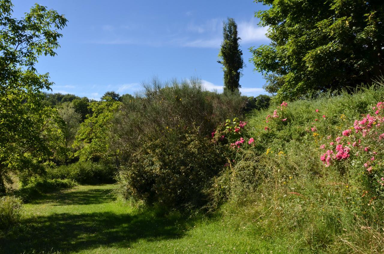 Agriturismo Villa Mozart Nel Verde Gubbio Exteriér fotografie