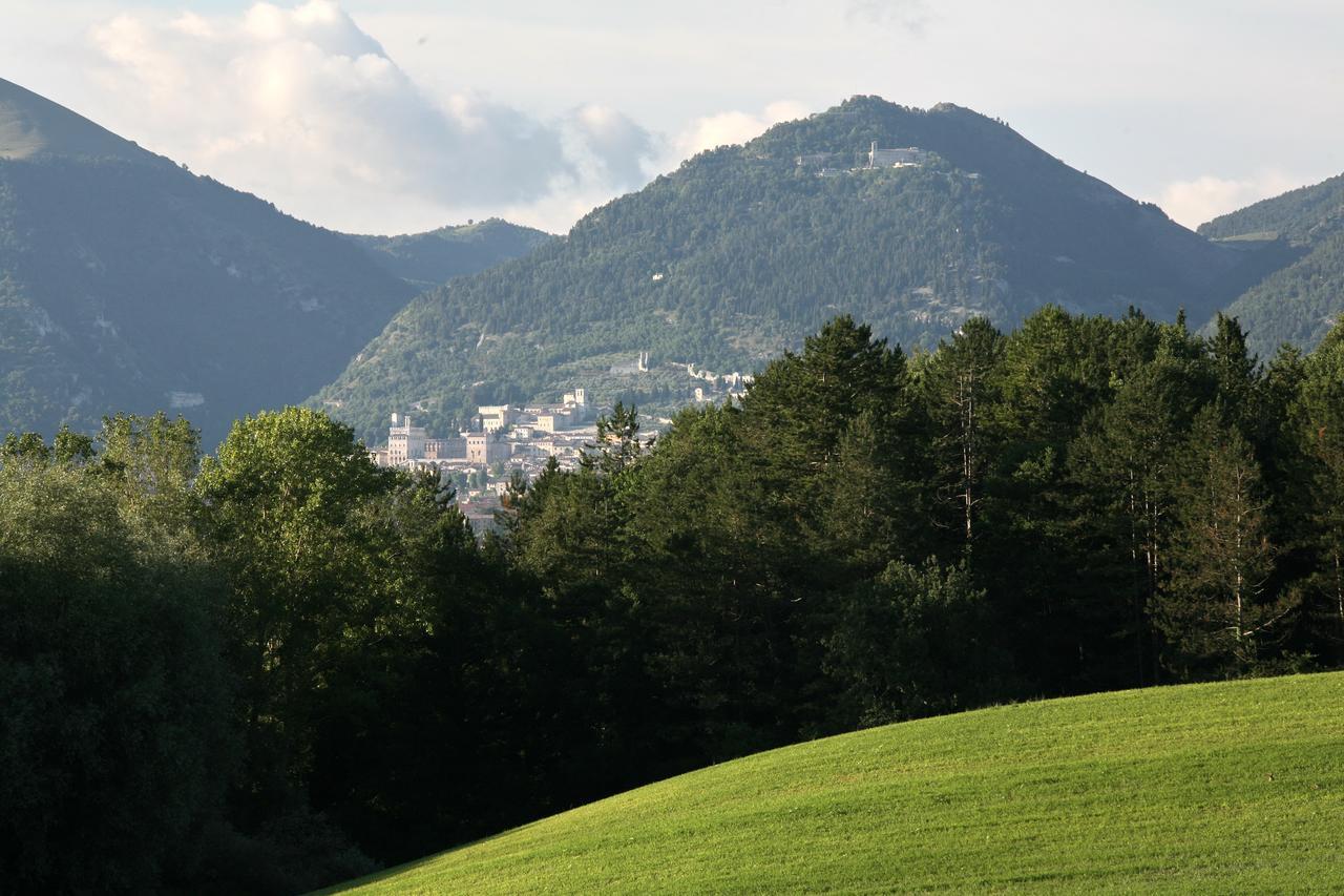 Agriturismo Villa Mozart Nel Verde Gubbio Exteriér fotografie