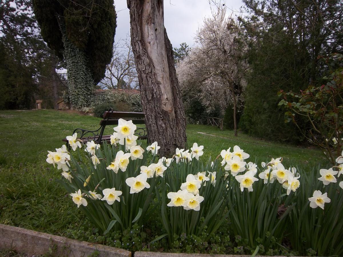 Agriturismo Villa Mozart Nel Verde Gubbio Exteriér fotografie