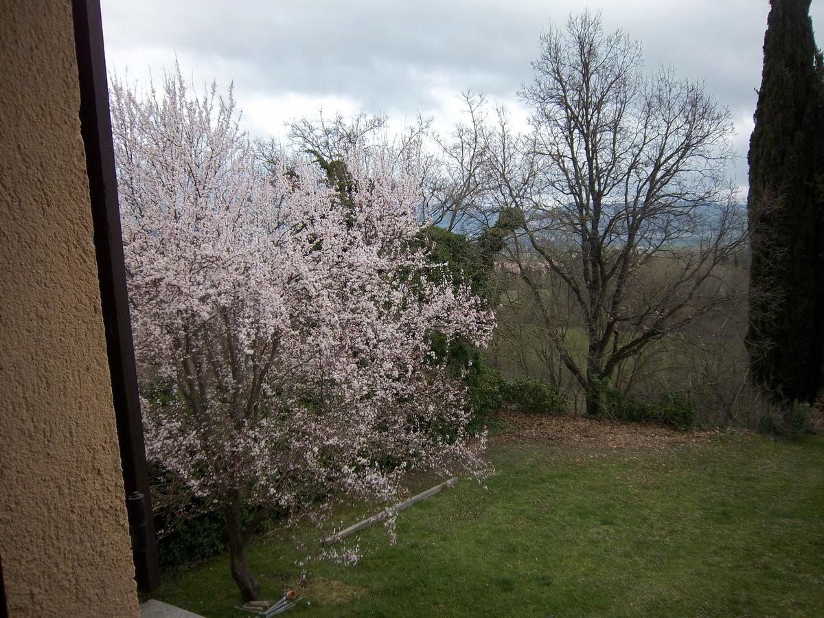Agriturismo Villa Mozart Nel Verde Gubbio Exteriér fotografie