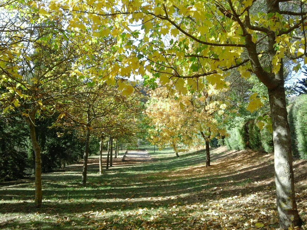 Agriturismo Villa Mozart Nel Verde Gubbio Exteriér fotografie