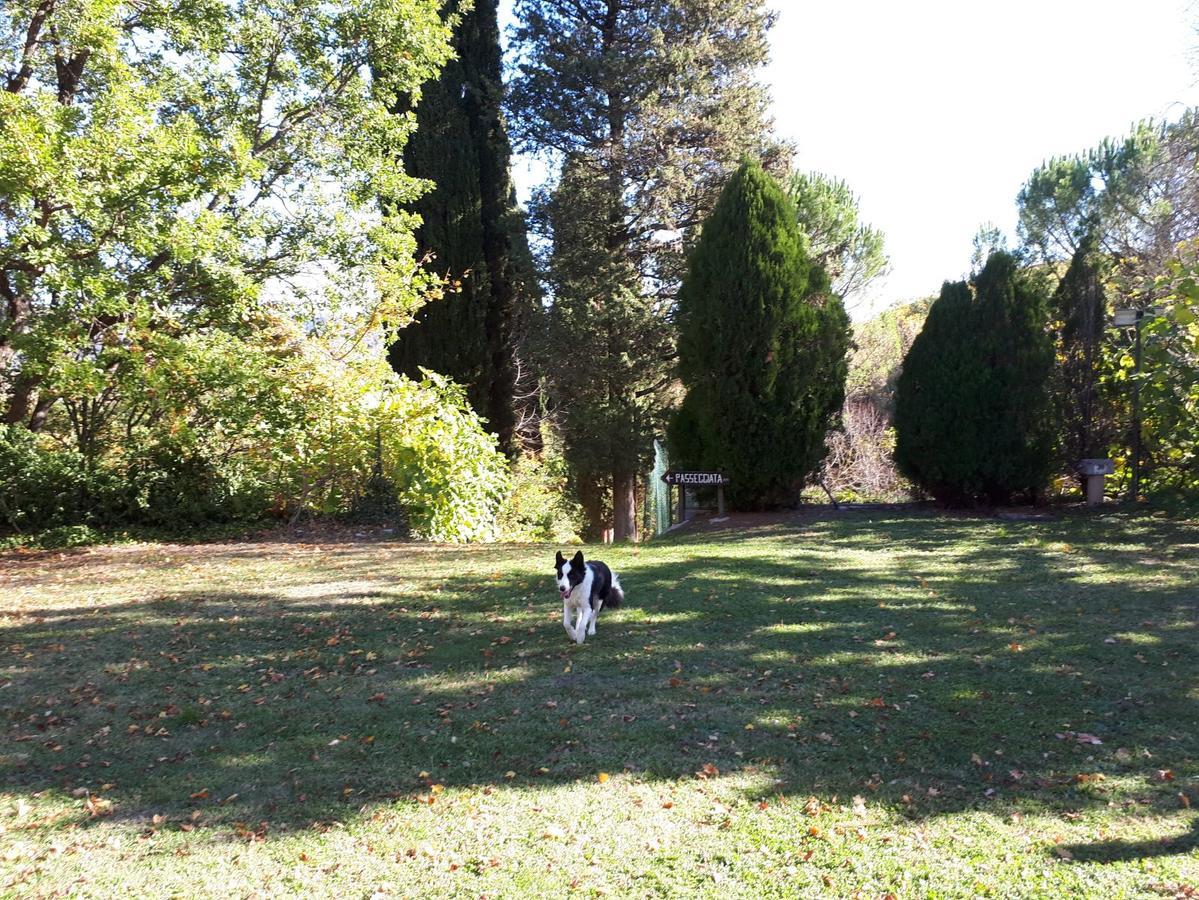 Agriturismo Villa Mozart Nel Verde Gubbio Exteriér fotografie