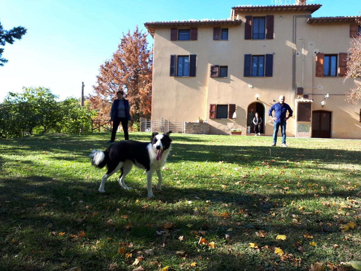 Agriturismo Villa Mozart Nel Verde Gubbio Exteriér fotografie