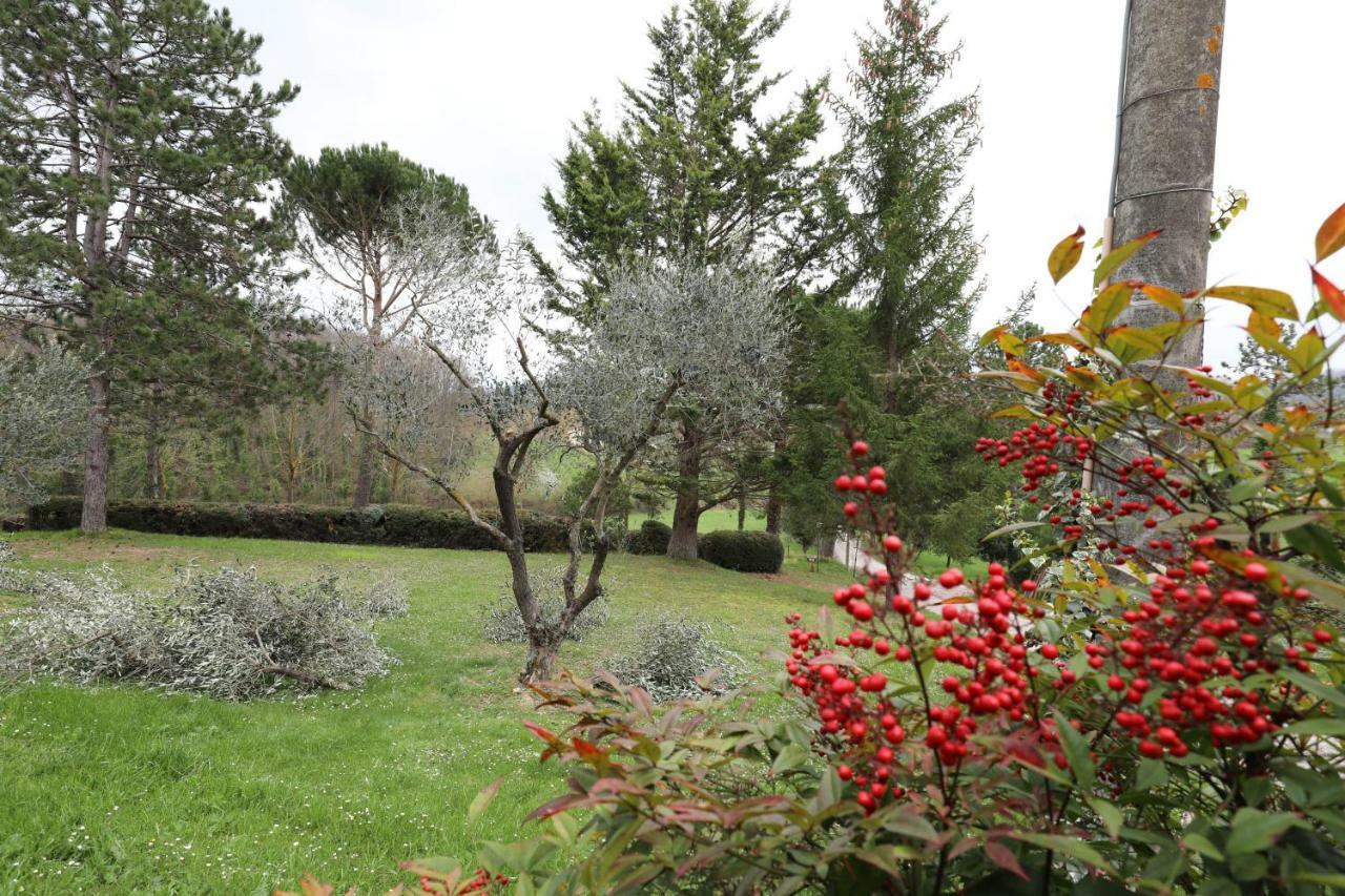 Agriturismo Villa Mozart Nel Verde Gubbio Exteriér fotografie