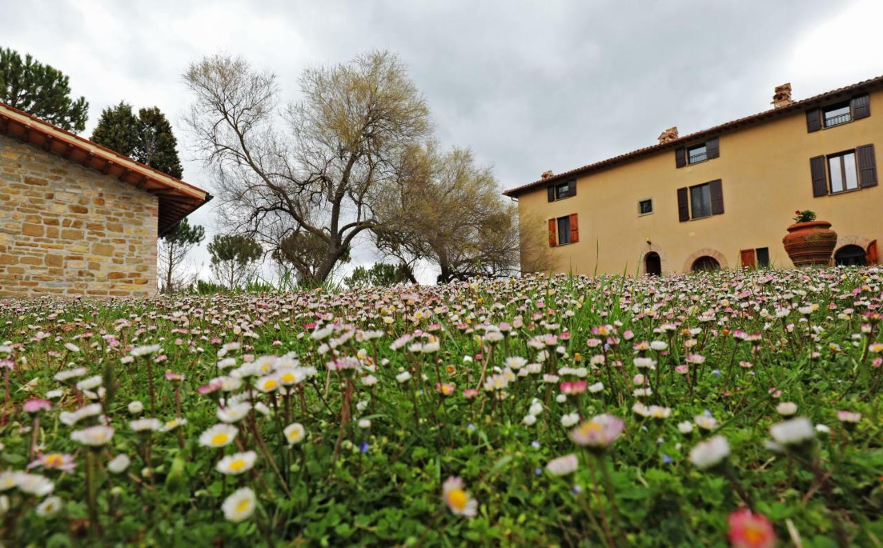 Agriturismo Villa Mozart Nel Verde Gubbio Exteriér fotografie